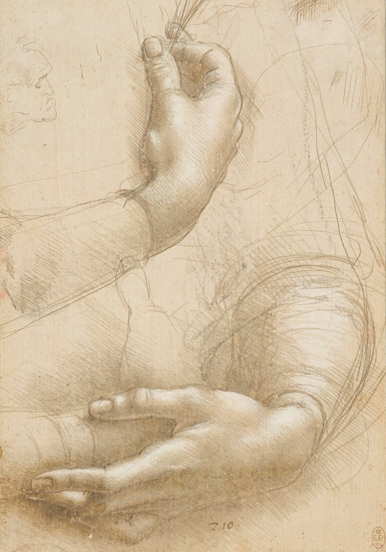 Annotated details from Study of Hands by Leonardo da Vinci